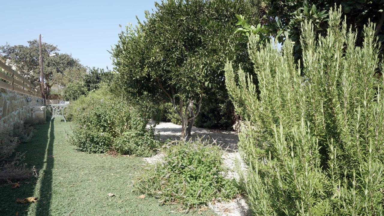 Studio Eleni - Oasis Holiday Houses Kokkinos Pyrgos Dış mekan fotoğraf
