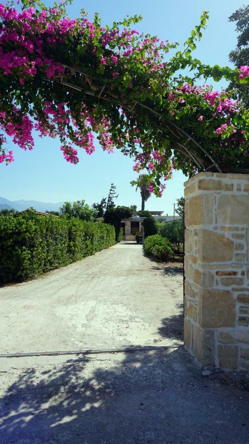 Studio Eleni - Oasis Holiday Houses Kokkinos Pyrgos Dış mekan fotoğraf